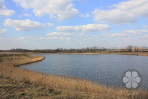 Zobnatica lake (Photo: Sihelnik József)